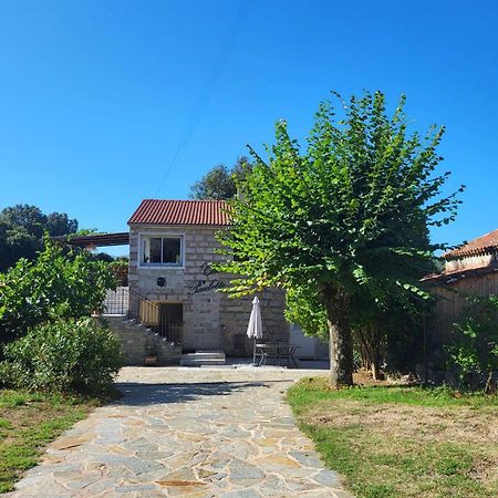 Chez Paulette - meublé de tourisme classé 3 étoiles Zonza Extérieur photo