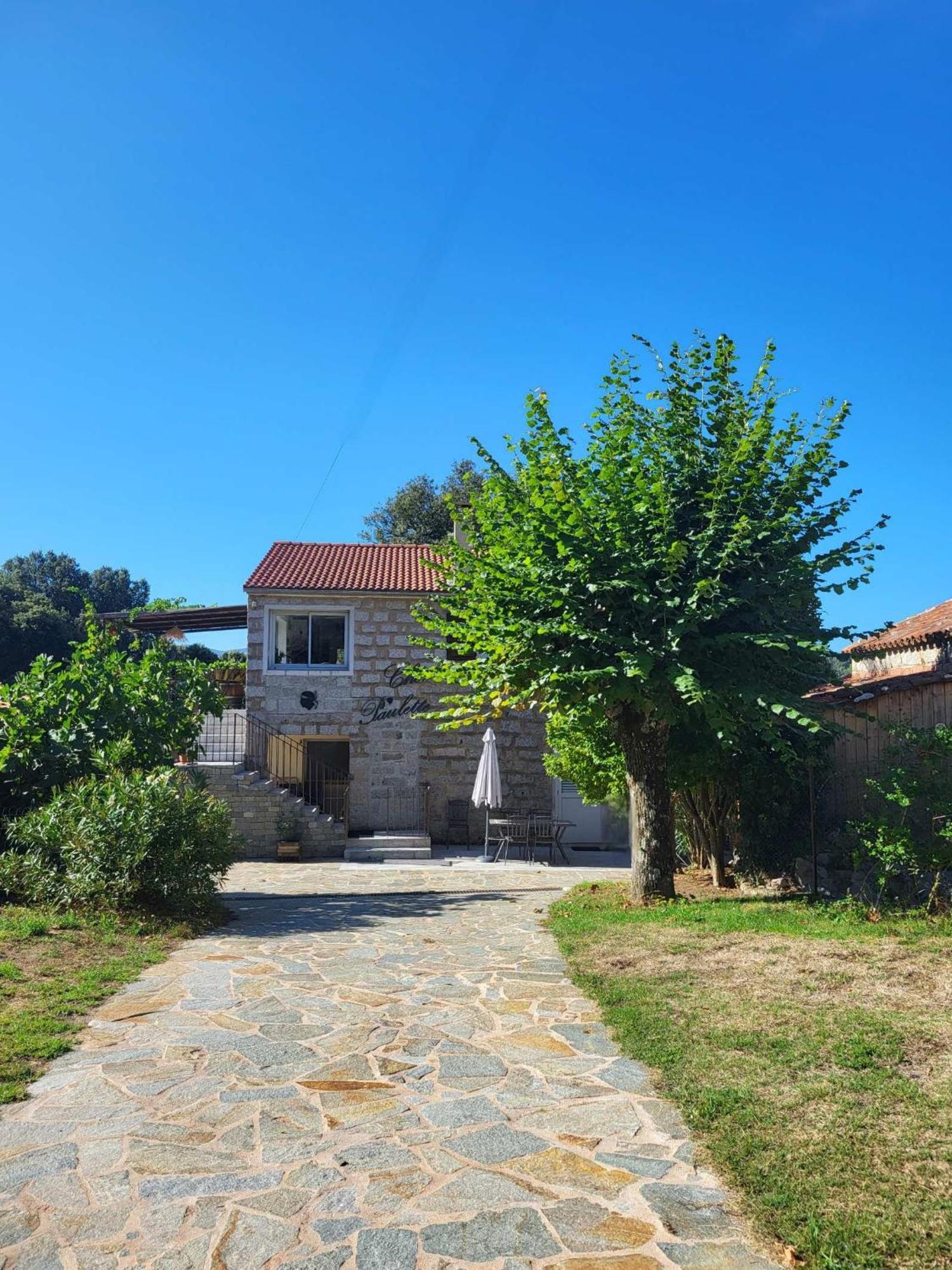 Chez Paulette - meublé de tourisme classé 3 étoiles Zonza Extérieur photo